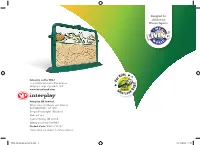 Ant World Instructions