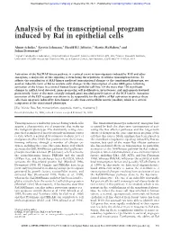 Analysis of the Transcriptional Program Induced by Raf in Epithelial Cells