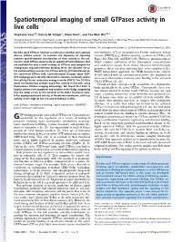 Spatiotemporal Imaging of Small Gtpases Activity in Live Cells