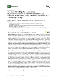 The Inability of Spotted Lanternfly (Lycorma Delicatula) to Vector a Plant Pathogen Between Its Preferred Host, Ailanthus Altissima, in a Laboratory Setting