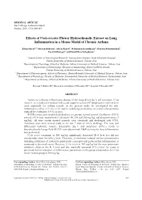 Effects of Viola Tricolor Flower Hydroethanolic Extract on Lung Inflammation in a Mouse Model of Chronic Asthma