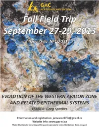 Evolution of the Western Avalon Zone and Related Epithermal Systems