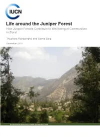 Life Around the Juniper Forest How Juniper Forests Contribute to Well Being of Communities in Ziarat