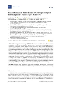 Focused Electron Beam-Based 3D Nanoprinting for Scanning Probe Microscopy: a Review