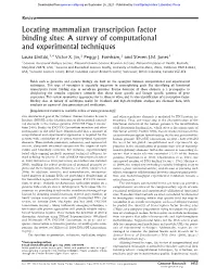 Locating Mammalian Transcription Factor Binding Sites: a Survey of Computational and Experimental Techniques