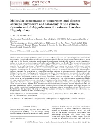 Phylogeny and Taxonomy of the Genera Lysmata and Exhippolysmata (Crustacea: Caridea: Hippolytidae)