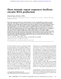 Short Intronic Repeat Sequences Facilitate Circular RNA Production
