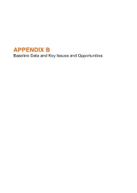 Appendix B: Baseline Data and Key Issues And