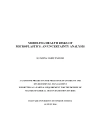 Modeling Health Risks of Microplastics: an Uncertainty Analysis