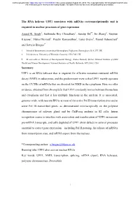 The RNA Helicase UPF1 Associates with Mrnas Co-Transcriptionally and Is Required in Nuclear Processes of Gene Expression