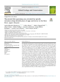 Threatened Fish Spawning Area Revealed by Specific Metabarcoding Identification of Eggs and Larvae in the Beni River, Upper Amaz