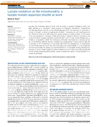 A Lactate-Malate-Aspartate Shuttle at Work