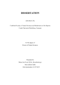 Dissertation