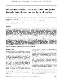 Dynamic Temperature-Sensitive A-To-I RNA Editing in the Brain of a Heterothermic Mammal During Hibernation