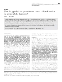 How Do Glycolytic Enzymes Favour Cancer Cell Proliferation by Nonmetabolic Functions?