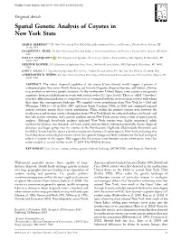 Spatial Genetic Analysis of Coyotes in New York State