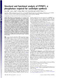 Structural and Functional Analysis of PTPMT1, a Phosphatase Required for Cardiolipin Synthesis