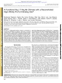 A Functional Nav1.7-Navab Chimera with a Reconstituted High-Affinity Protx-II Binding Site S