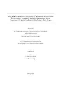 Multi-Method Chronometric Constraints on the Thermal