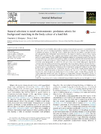 Predation Selects for Background Matching in the Body Colour of a Land ﬁsh
