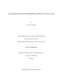 Characterizing and Selectively Targeting RNF20 Defects Within Colorectal Cancer Cells by Brent John Guppy a Thesis Submitted To
