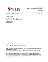 The Female Slave Experience