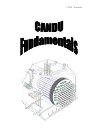 CANDU Fundamentals