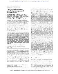 Cbx3 Maintains Lineage Specificity During Neural Differentiation