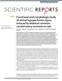 Functional and Morphologic Study of Retinal Hypoperfusion Injury Induced