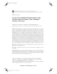 Agrobacterium-Mediated Transformation of the Genome-Sequenced Poplar Clone, Nisqually-1 (Populus Trichocarpa)