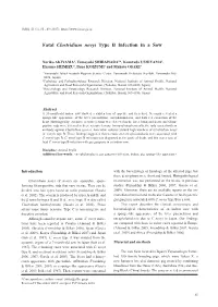 Fatal Clostridium Novyi Type B Infection in a Sow