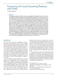 Functioning of Circuits Connecting Thalamus PMU ?&gt; and Cortex