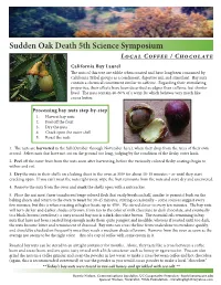 SOD 5 Handout.Indd