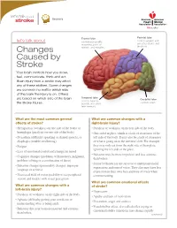 Changes Caused by Stroke