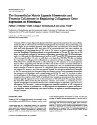 The Extracellular Matrix Ligands Fibronectin