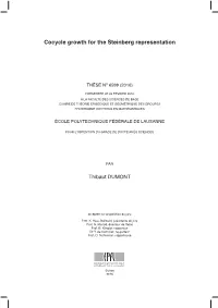 Cocycle Growth for the Steinberg Representation§