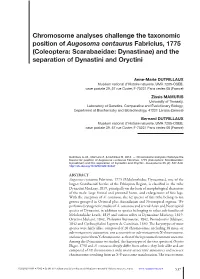 Coleoptera: Scarabaeidae: Dynastinae) and the Separation of Dynastini and Oryctini