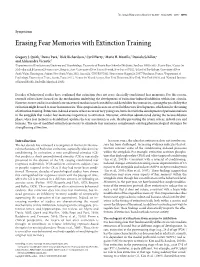 Erasing Fear Memories with Extinction Training