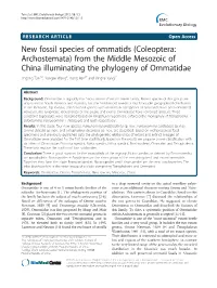 From the Middle Mesozoic of China Illuminating the Phylogeny of Ommatidae Jingjing Tan1,2, Yongjie Wang2, Dong Ren2* and Xingke Yang1*