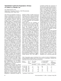 Insemination Controls the Reproductive Division of Labour in a Ponerine