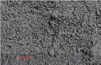 Intercement Annual Report 2010
