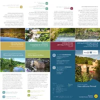 Natur Erleben Im Werratal Klosterteich Sollen Auch Seltene Arten Wie Die Gelbbauchunke Ein Neues Untersuchungsgebiete