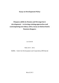 Essay on Development Policy Diaspora Skills for Bosnia And