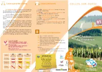 Chemin Du Vigneron