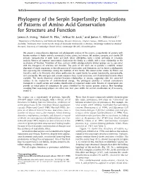 Phylogeny of the Serpin Superfamily: Implications of Patterns of Amino Acid Conservation for Structure and Function
