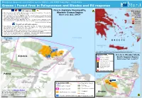Greece | Forest Fires in Peloponnese and Rhodes and EU Response