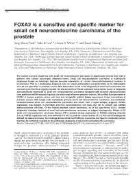 FOXA2 Is a Sensitive and Specific Marker for Small Cell Neuroendocrine Carcinoma of the Prostate Jung Wook Park1, John K Lee2,3, Owen N Witte1,4,5 and Jiaoti Huang6