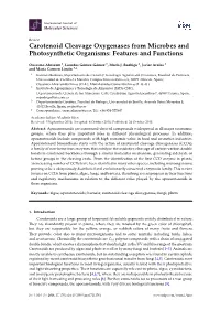 Carotenoid Cleavage Oxygenases from Microbes and Photosynthetic Organisms: Features and Functions