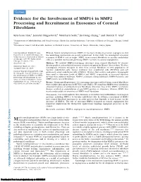Evidence for the Involvement of MMP14 in MMP2 Processing and Recruitment in Exosomes of Corneal Fibroblasts