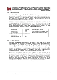 Executive Summary English